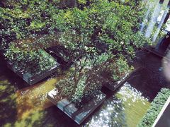 -上海崇明金茂凯悦酒店