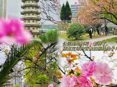 -宝岛公园