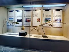 -中华赏石园