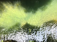 -永泰中国云顶