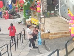 -猫咪博物馆(顶澳仔猫街店)