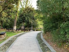 -白马涧龙池景区