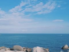 -广东惠东海龟国家级自然保护区