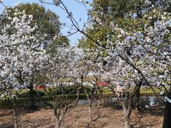 -云龙湖旅游景区