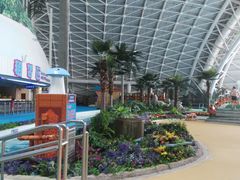 -天山海世界·米立方