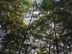 -藏龙百瀑风景区