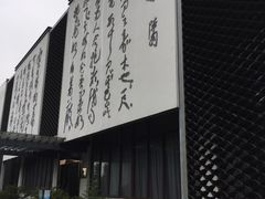 -天目湖山水园