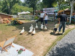 -HERRE·FARM 赫尔露营农场·团建聚会包场