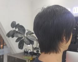 -FINE HAIR 烫染专业设计