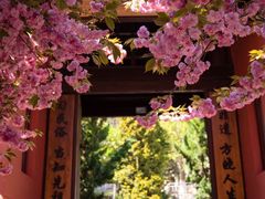 -石岛赤山风景区