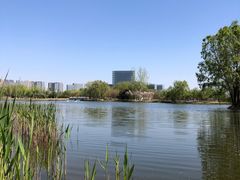 -大兴滨河森林公园