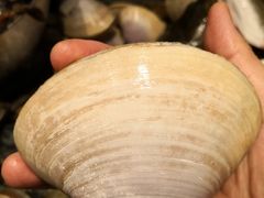 -马哥孛罗咖啡厅·Cafe Marco (厦门马哥孛罗东方大酒店)