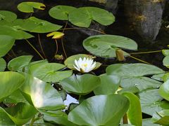-苏州东山雕花楼宾馆