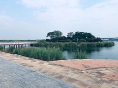 -天津金海湖