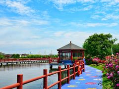 -鹅湖玫瑰文化园