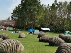 -上海月湖雕塑公园