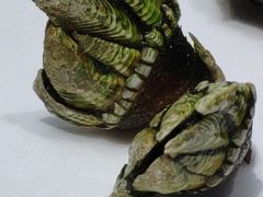 -天天渔港海鲜酒家(石浦玉泉路店)