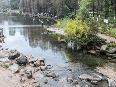 -重庆彩云湖湿地公园