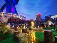 -东方明珠广播电视塔