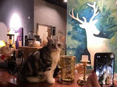 -咖法森林·咖啡  酒吧(天河店)