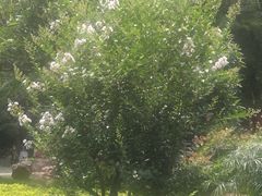 -晓港公园