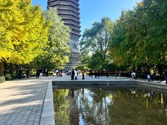 -玲珑塔公园