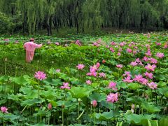 -东郊湿地公园