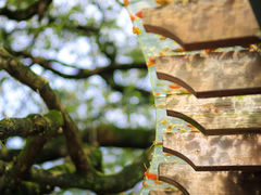 -中国茶叶博物馆(双峰馆区)