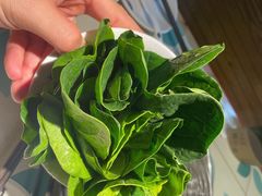 -南城十里潮汕鲜牛火锅·鲜虾生滚粥(融汇老商埠店)