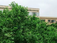 -浙江大学(玉泉校区)