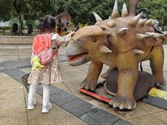 -重庆国际马戏城