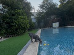 -汪说喵讲宠物乐园宠物酒店(红星美凯龙店)