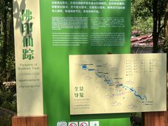 -莫里热带雨林景区