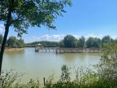 -泗洪洪泽湖湿地景区