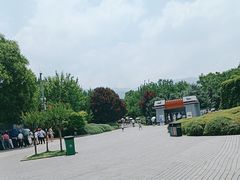 -秦始皇帝陵博物院(兵马俑)