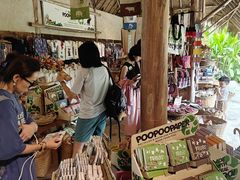 -大象粑粑造纸公园