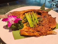 -紫滇源云南生态菜(丹凤街店)