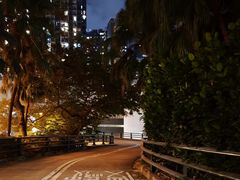 -香港大学