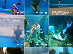 -奥体中心游泳馆