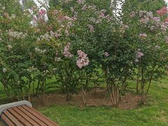 -中华世纪坛-停车场