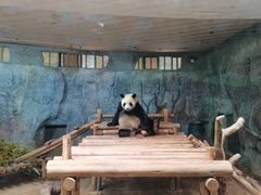 -深圳野生动物园
