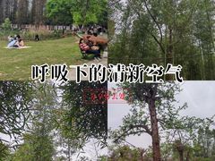 -青龙山国家森林公园