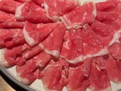 -辣伍鲜毛肚老火锅(元一店)