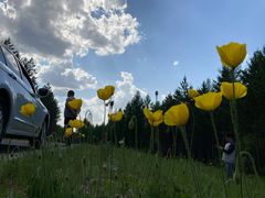 -塞罕坝国家级自然保护区