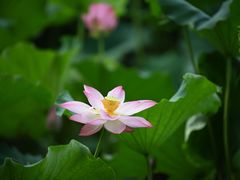 -北山街历史文化街区