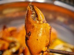 波格力蟹-七欣天(上海淮海路新尚广场店)