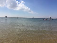 -碧海金沙