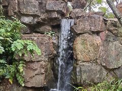 -秋霞圃