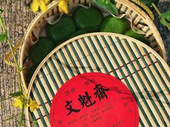 -文魁斋
