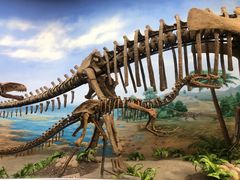 -延庆地质公园博物馆